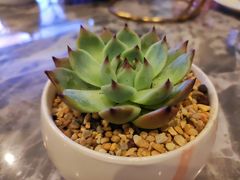 -粤海璇宫·木棉花高空旋转餐厅·聚会派对