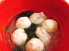 -蒂蒂香達濠魚丸