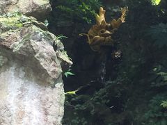 -杭州黄龙洞