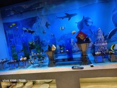 -青岛蓝海御华大饭店（金沙滩店）·蓝钻国际美食自助百汇