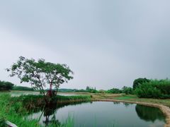 -良渚古城遗址公园