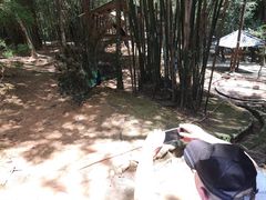 -翠屏湖景区