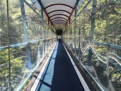 -七仙岭温泉国家森林公园