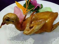 -乐和餐饮(活力源店)