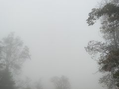 -鲁山国家森林公园