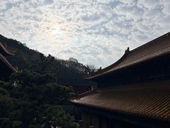 -普陀山风景名胜区-法雨禅寺