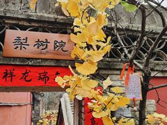 -潭柘寺景区