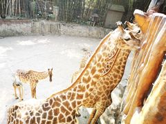 -长鹿旅游休博园