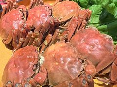 -牛New寿喜烧(闵行龙湖天街店)