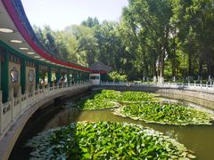 -西宁市人民公园(城西区)