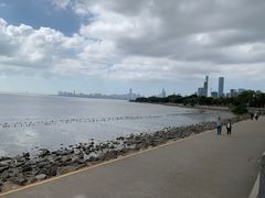 -深圳湾公园(南山区)