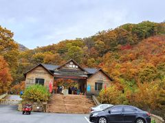 -天女山森林公园