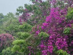 -三亚南山文化旅游区