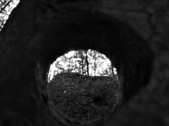 -泰山风景名胜区-普照寺