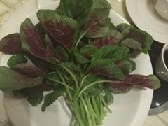 -海南椰子鸡餐厅(三亚湾红树林店)