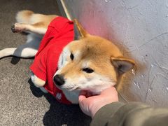 -三目仓咖啡(贤南路店)