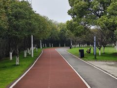 -艾溪湖湿地公园