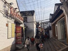 -猫的魔法密林(衣裳街店)