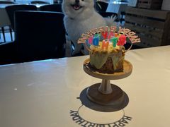 -百好乐宠物友好餐厅(朝外大街店)