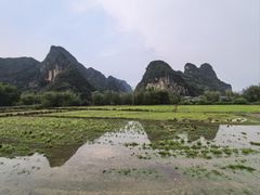 -明仕田园