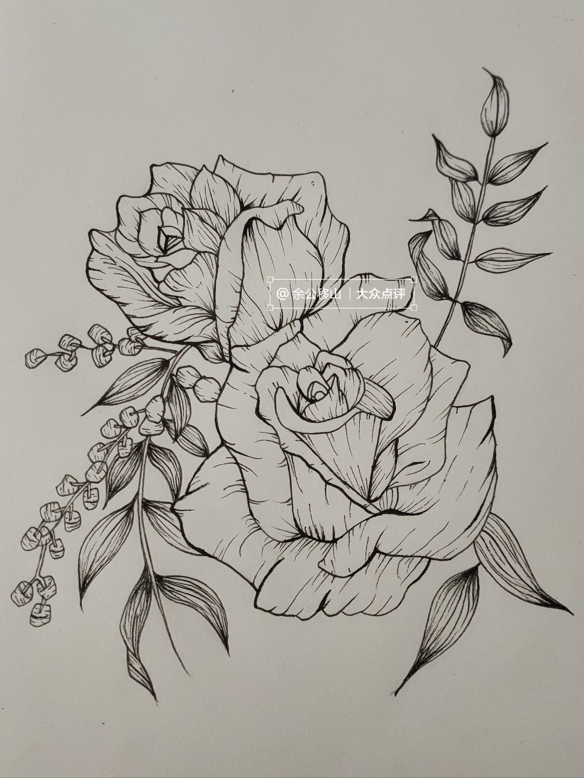 勾边
3️⃣内部的细节用小一号的勾线笔填充做层次感
#焦点