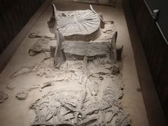 -北京大葆台遗址博物馆