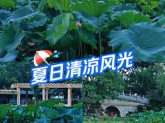 -莲湖公园