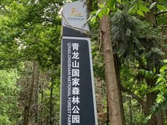 -青龙山国家森林公园