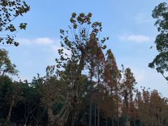 -四川大学(望江校区)