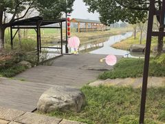 -长田漾湿地公园
