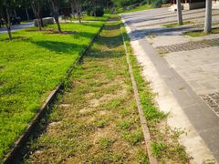 -永定河休闲森林公园