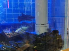 -蛙一刀·麻椒鱼火锅(金仙桥店)