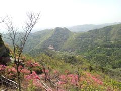 -木兰云雾山