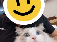 -猫遇摄影工作室
