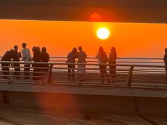 -演武大桥观景平台