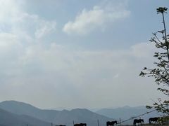 -灵山