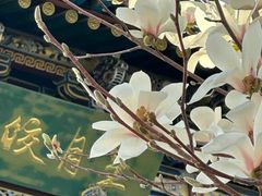 -碑林公园