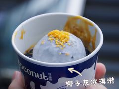 原味椰子灰冰淇淋-蔻蔻椰·鲜萃椰子水(COCO Park店)
