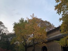 -灵谷景区
