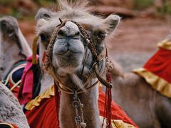 -天山神秘大峡谷