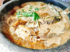白洋淀石锅嘎鱼-小放牛炒菜馆(军校店)