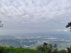 -黄埔油麻山森林公园