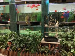 -成都世纪城假日酒店-西楼