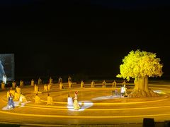 -鼎盛王朝康熙大典实景演出