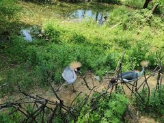 -济南野生动物世界