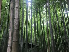 -宝岩生态观光园