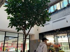 -大树餐厅(红旗街万达店)