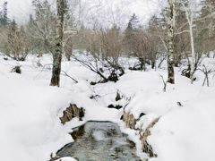 -凤凰山国家森林公园