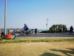 -深圳湾公园(南山区)