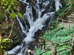 -莫里热带雨林景区